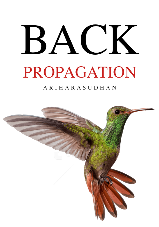Back Propagation