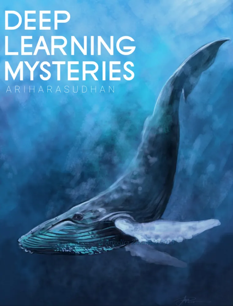 DeepLearning Mysteries