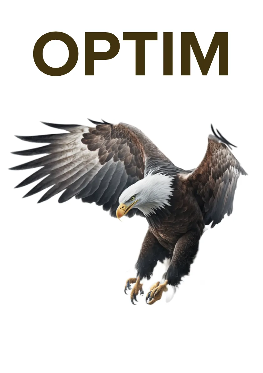Optimizers