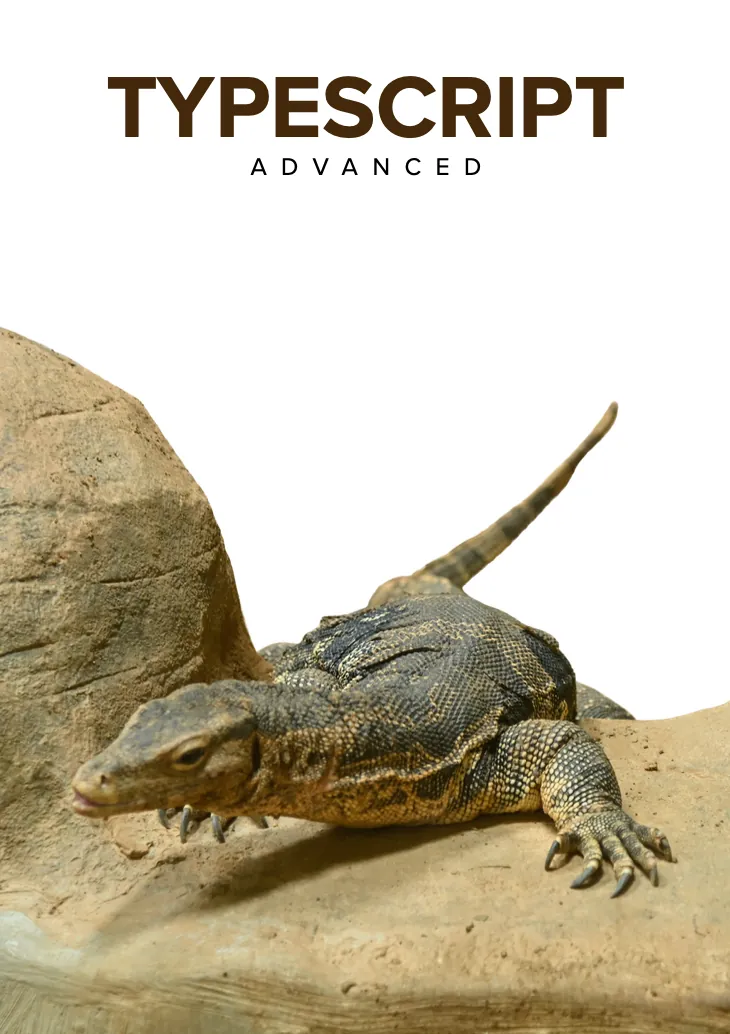 Advanced TypeScript